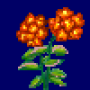 flammenblume_variante5.png