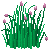 chives_variant2.png
