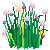 chives_variant3.png