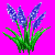 grape_hyacinth_variant1.png