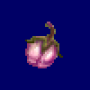 24.seed.png