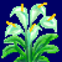 arum_lily_variant2.png