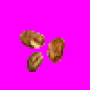 bugle_seed.png