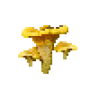 chanterelle_variant2.png
