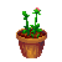 chinese_peony_germ.png