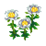 chinese_peony_variant_1.png