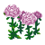 chinese_peony_variant_3.png