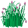 chives_variant2.png