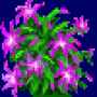 christmas_cactus_variant1.png