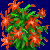 en:christmas_cactus_variant2.png