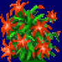 christmas_cactus_variant2.png