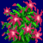 christmas_cactus_variant3.png