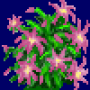 christmas_cactus_variant4.png