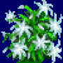 christmas_cactus_variant5.png