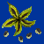 christmas_rose_seed.png
