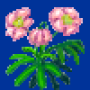 christmas_rose_variant2.png