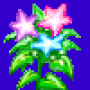 christmas_star_variant5.png