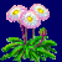 common_daisy_variant1.png