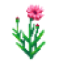 cornflower_variant2.png