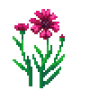 cornflower_variant3.png