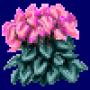 cyclamen_variant2.png