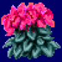 cyclamen_variant3.png