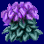 cyclamen_variant5.png