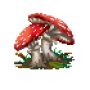 fly_agaric_mature_variant_1.png