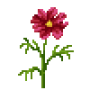 garden-cosmos_variant_2.png