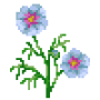 garden-cosmos_variant_4.png