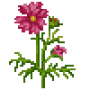 garden_cosmos_variant_3.png