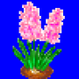 hyacinth_variant1.png