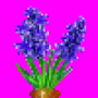 hyacinth_variant2.png
