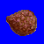 living_stones_seed.png