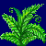 male_fern_variant1.png
