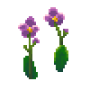 moth_orchid_variant1.png