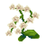 moth_orchid_variant2.png
