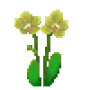 moth_orchid_variant3.png