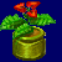 poinsettia_germ.png