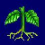 poinsettia_seed.png