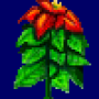 poinsettia_variant1.png