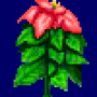 poinsettia_variant2.png