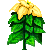 poinsettia_variant3.png