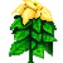 poinsettia_variant3.png