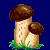 en:porcini_mushroom_variant1.png