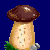 en:porcini_mushroom_variant2.png