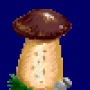 porcini_mushroom_variant2.png