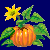 en:pumpkin_variant1.png