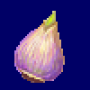 siberian_squill_seed.png