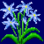siberian_squill_variant1.png